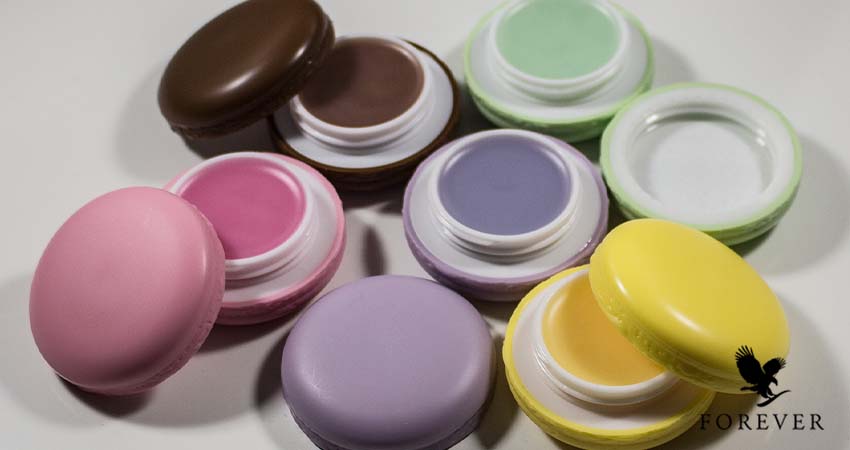 انواع بالم لب